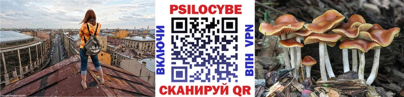 Купить закладки Пыталово Псилоцибиновые грибы Cubensis